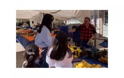 ​谢霆锋张柏芝王菲（张柏芝对谢霆锋已释怀）