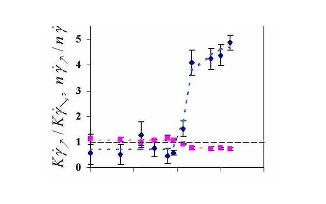 珊瑚婚的寓意（珊瑚婚寓意什么）