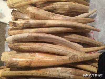​被称为翡翠冒牌货的「虬角」，为何能拍得50万的高价？