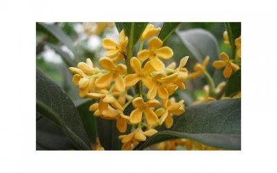 ​婚宴标准一般多少钱一桌，办婚宴多少钱一桌