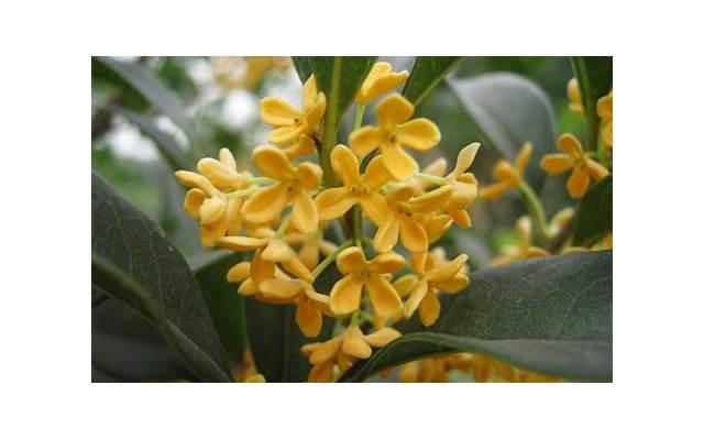 婚宴标准一般多少钱一桌，办婚宴多少钱一桌