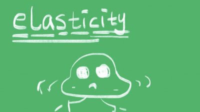​elasticity什么意思