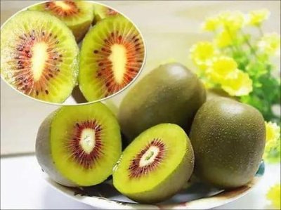 ​红阳猕猴桃和红心区别 红阳猕猴桃的功效与作用