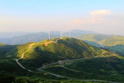 ​天目木姜子什么科(天目木姜子园林配置)