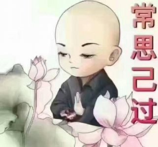 ​小鸟拉粑粑掉在头上好不好(小鸟屎掉头上什么预兆)