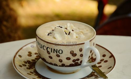 加入咖啡中的奶是什么奶有特殊要求么