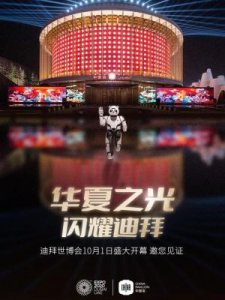 ​中国世博会是哪年(中国世博会是哪年举办的)