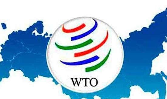 “WTO”这个缩略词是什么意思