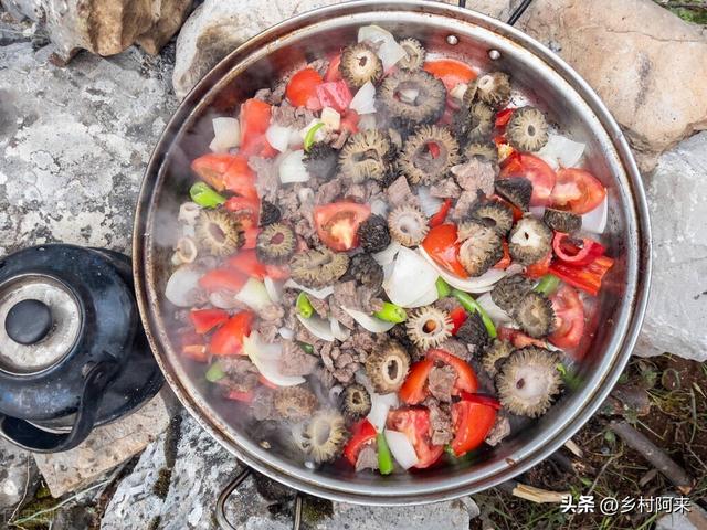 野生菌种类图解大全（农村常见野菌的种类及口感详解）(8)