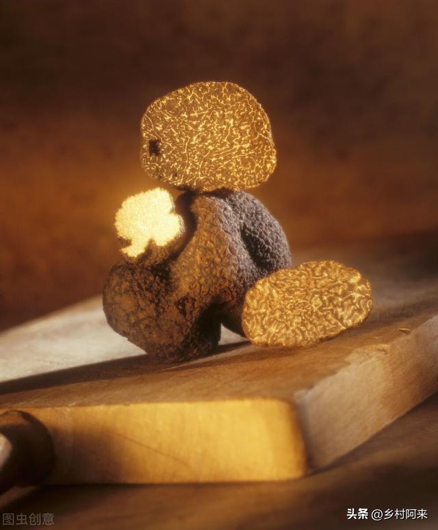 野生菌种类图解大全（农村常见野菌的种类及口感详解）(4)