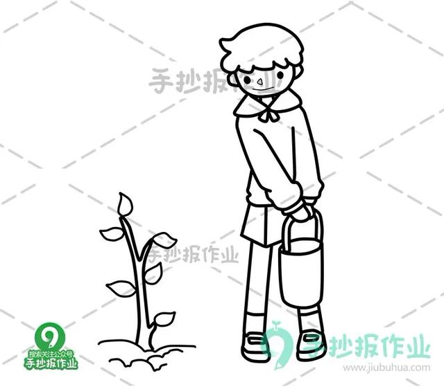 简笔画植树节素材（312植树节简笔画合集）(12)