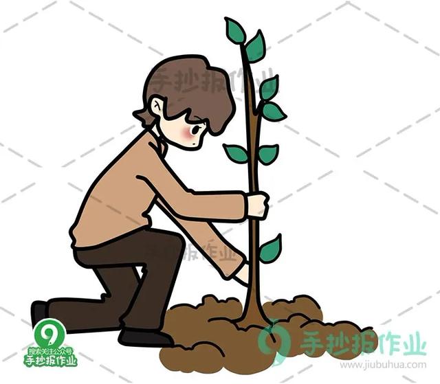 简笔画植树节素材（312植树节简笔画合集）(6)