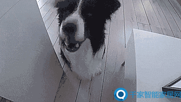 有哪些智能家居产品（9大智能家居生活产品推荐）(4)