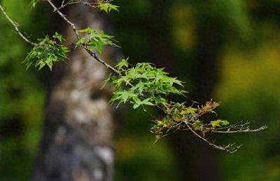 ​这10件事，有损“阴德”，千万不要去做！