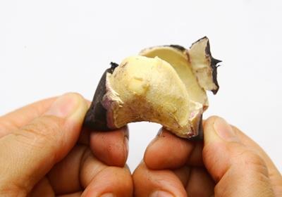 菱角怎么剥壳?生菱角怎么剥壳