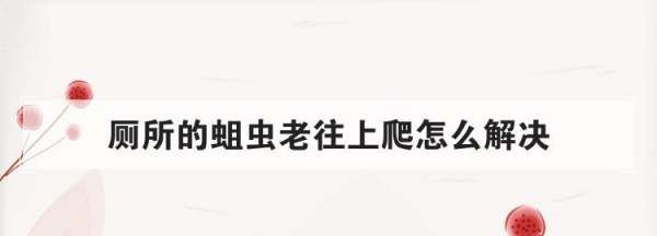 农村厕所老有蛆往出爬怎么办,蹲厕有蛆爬上来怎么办图1