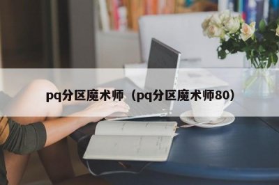 ​pq分区魔术师（pq分区魔术师80）