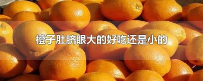 ​橙子肚脐眼大的好吃还是小的