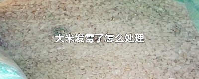 ​大米发霉了怎么处理