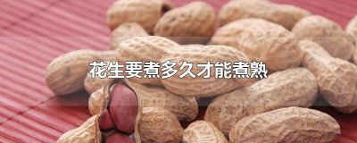 ​花生要煮多久才能煮熟