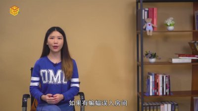 ​蝙蝠会咬人吗