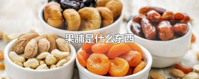 ​果脯是什么东西