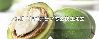 ​核桃汁把手弄黑了怎么快速洗去