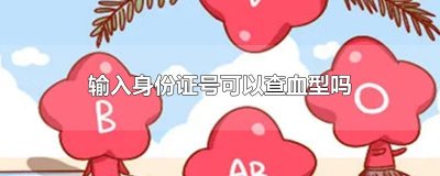 ​输入身份证号可以查血型吗
