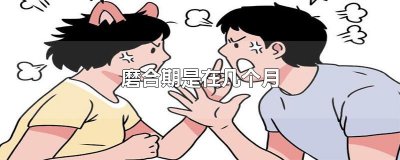 ​磨合期是在几个月