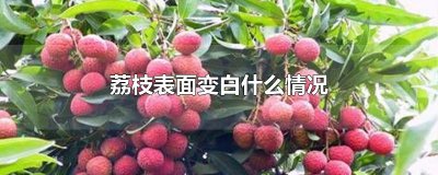 ​荔枝表面变白什么情况