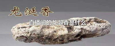 ​龙涎香真的存在吗 直播间香香是什么
