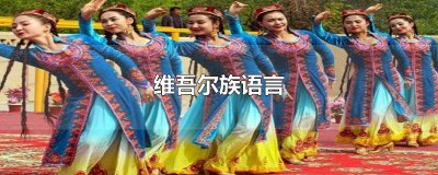 ​维吾尔族语言