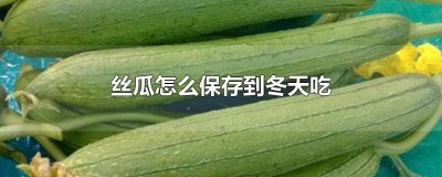 ​丝瓜怎么储存能到冬天吃 丝瓜如何储存冬天吃
