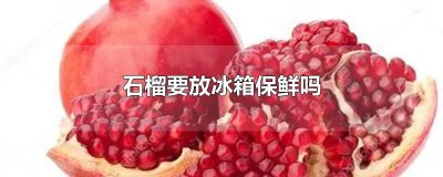 ​石榴要放冰箱保鲜吗