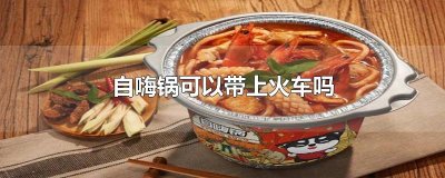 ​自嗨锅可以带上火车吗
