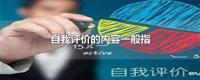 ​自我评价的内容一般指