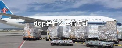 ​ddp是什么运输方式
