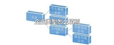 ​企业类型怎么填写