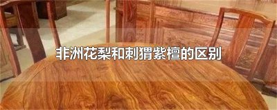 ​刺猬紫檀跟非洲花梨区别在哪里图片 刺猬紫檀跟非洲花梨的区别
