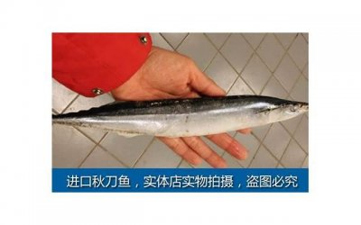 ​布兰妮小甜甜（小甜甜布兰妮纵情奔跑）