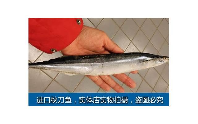 布兰妮小甜甜（小甜甜布兰妮纵情奔跑）