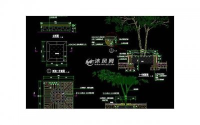 小品演员杨蕾(从小品女王到销声匿迹)