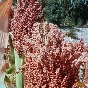 ​激情澎湃后的永恒记忆