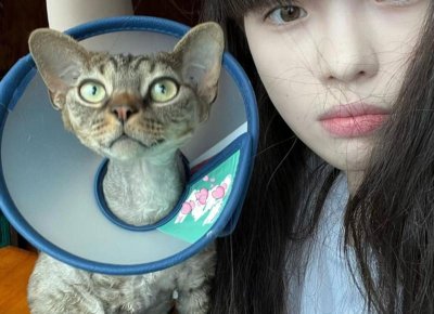 ​实用的表白技巧，给她一次无法拒绝的表白