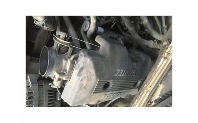 ​刘德华吃素，刘德华自曝吃素6年会胖的食物他因何照吃不误