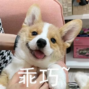 ​哈尔滨这四大车站你知道几个？走哪个比较方便？