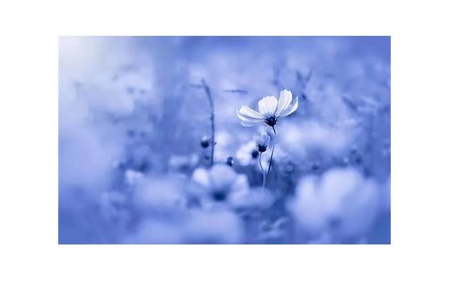 第一次和女生约会聊什么话题 第一次奔现见面该干嘛