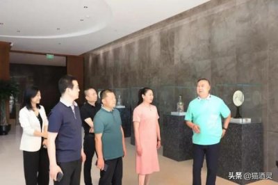 ​禧福祥西凤酒种类(西凤酒禧福祥福15报价)