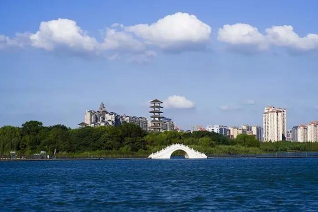 秋天真美到处都是五颜六色的叶子（带你领略张家港最美的秋天）(6)