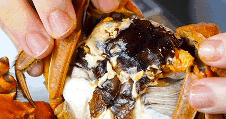 秋天真美到处都是五颜六色的叶子（带你领略张家港最美的秋天）(3)